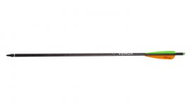 Carbon Savage Pfeil 20"