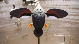 Balabán MOJO Gadwall - Ente Kopřivka