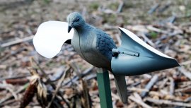 Balabán MOJO Wind Dove - Windtaube