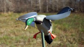 Balabán MOJO Wind Duck Mallard - Wind-Wildenterich