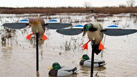 Balabán MOJO Mallard Hen - Wildente mit Fernbedienung