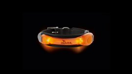 Leuchtender LED-Anhänger für Halsband Hunter orange
