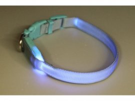 Leuchtendes Halsband Dogtrace 28-38cm
