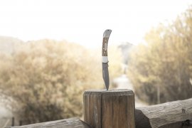Klappmesser Winchester Lasso