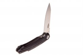 Klappmesser Ganzo Firebird FH21-BK