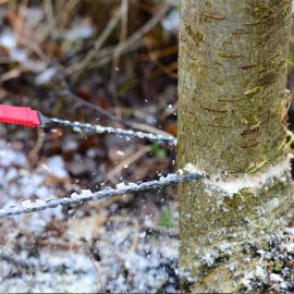 Kompakte Kettensäge Nordic Pocket Saw X-Long für 2 Personen grün