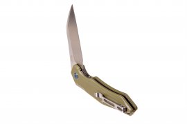 Klappmesser Ganzo Firebird FH31-GB