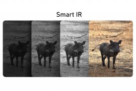 Wärmeschutz-Fernglas LRF Hikmicro RAPTOR RH50LN