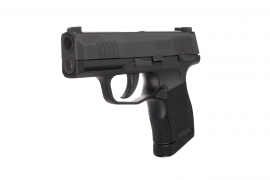SIG365 (3).png