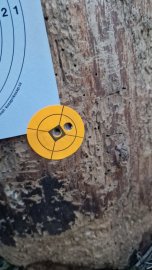Bewertungen: H&N Heavy Slug 6.35mm/.250 2.72g/42gr - 1