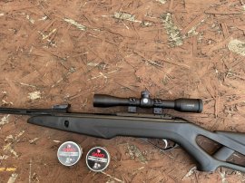 Bewertungen: Diabolo Gamo Pro Magnum Penetration 4,5mm 500Stk - 1