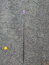 Bewertungen: Pfeil Carbon Wraith 30" - 1