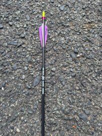 Bewertungen: Pfeil Carbon Wraith 30" - 2