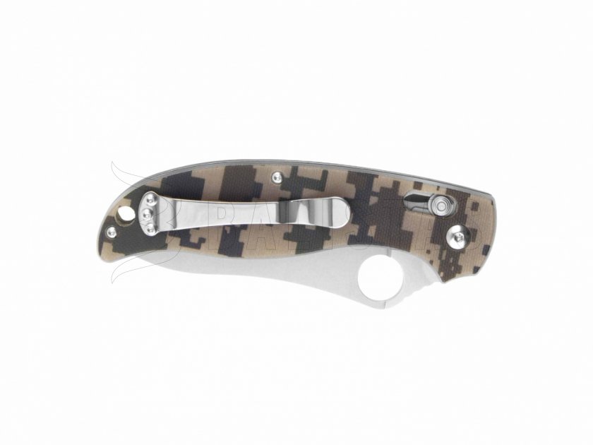 Klappmesser Ganzo G733-CA