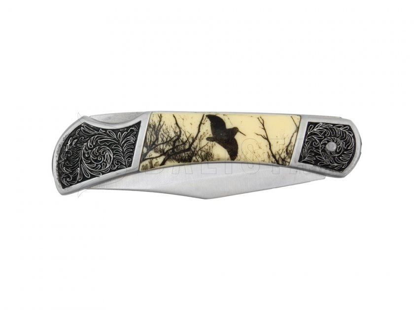 Messer Joker klappbar Motiv Vogel 8 cm