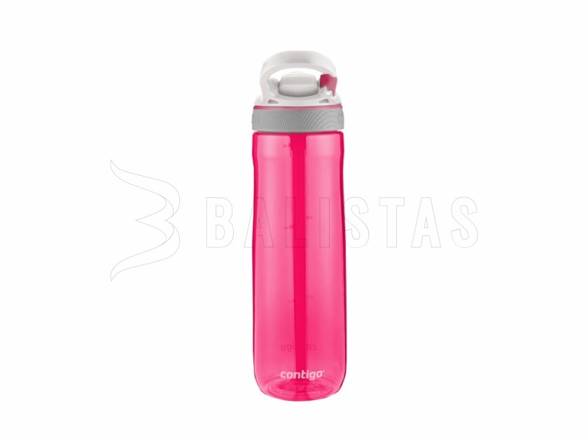 Flasche Contigo Ashland 0,72 l violett