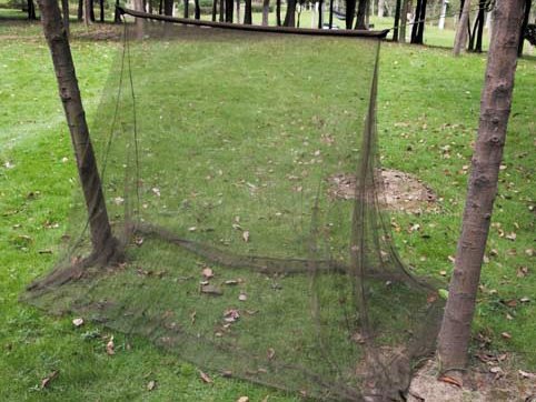 Camping-Moskitonetz MFH grün 2x1,5x1 m