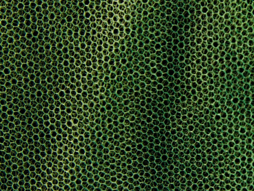 Moskitonetz MFH klein grün 0,63x2x8 m