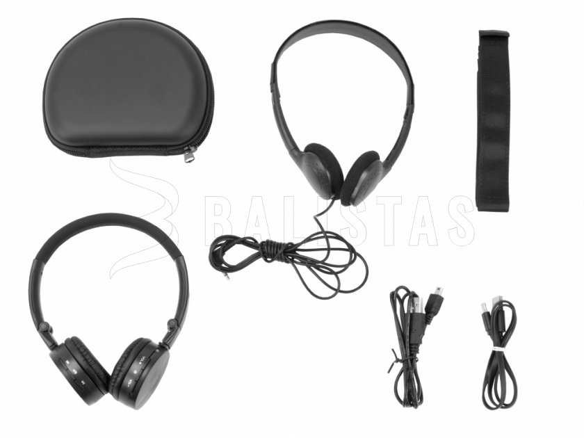 Metalldetektor Quest Q40