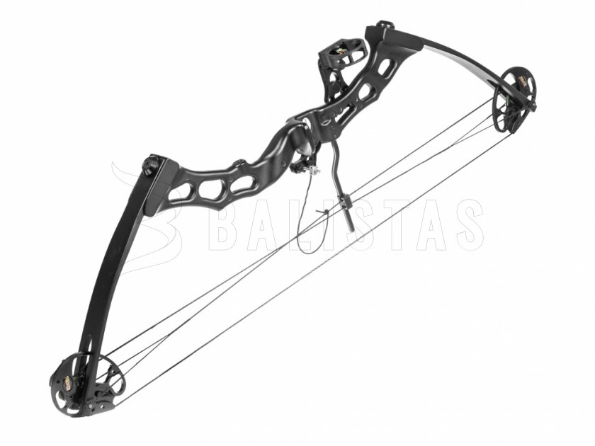 Bogen Poe Lang Predator II schwarz 45-65lbs