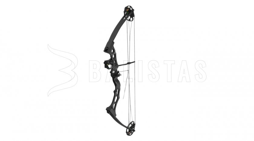 Bogen Poe Lang Predator II schwarz 45-65lbs