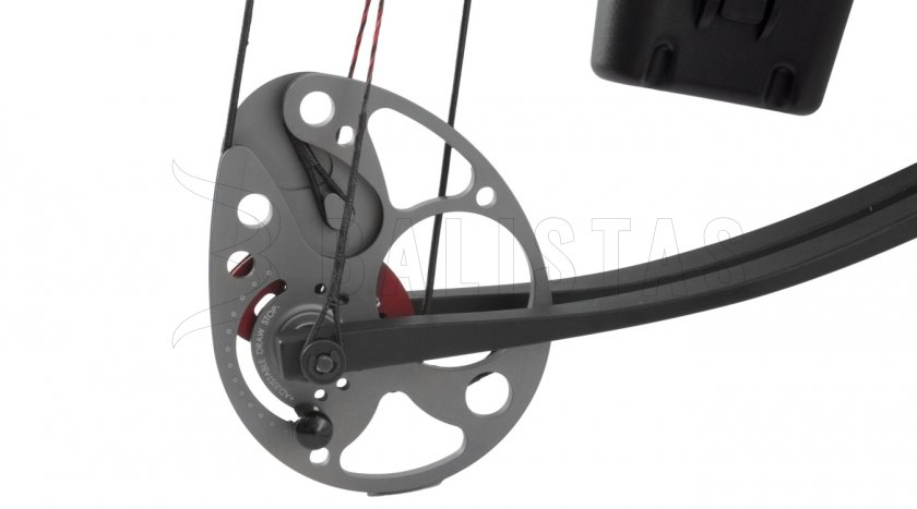 Bogen Poe Lang Assassin 20-70lbs