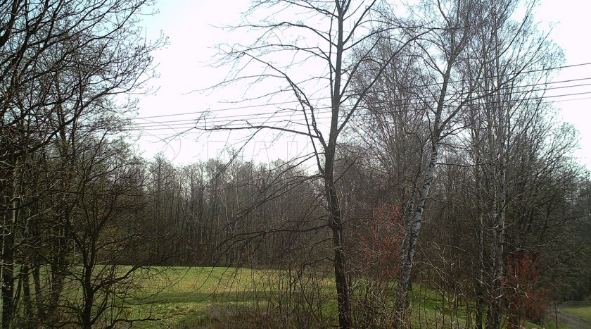 Fotofalle Forestcam Tiny