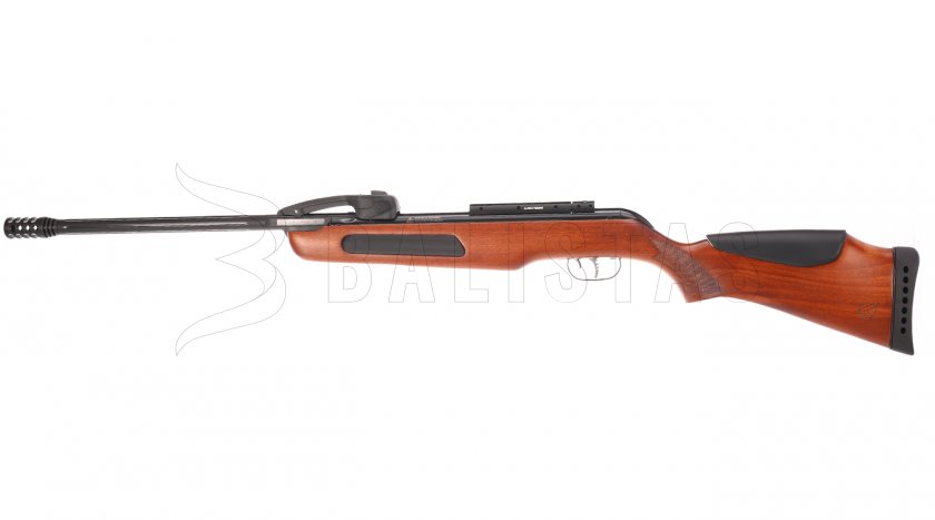 Luftgewehr Gamo Replay 10 SET Holz 4,5mm