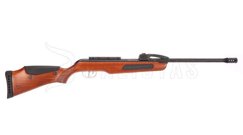 Luftgewehr Gamo Replay 10 SET Holz 4,5mm