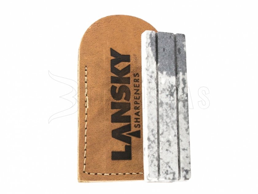 Schleifstein Lansky Arkansas LSAPS