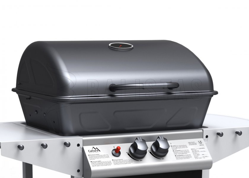 Grill Party Point fahrbar