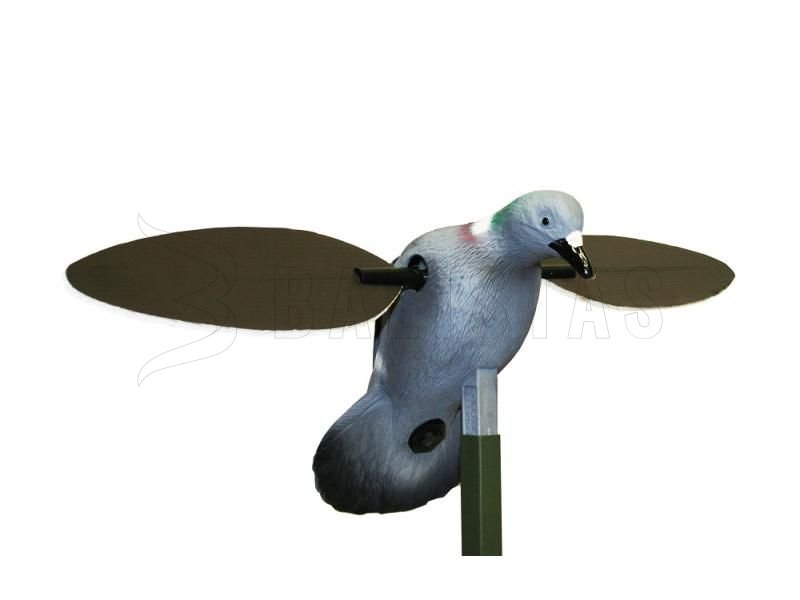 Balabán MOJO Pigeon - Taube