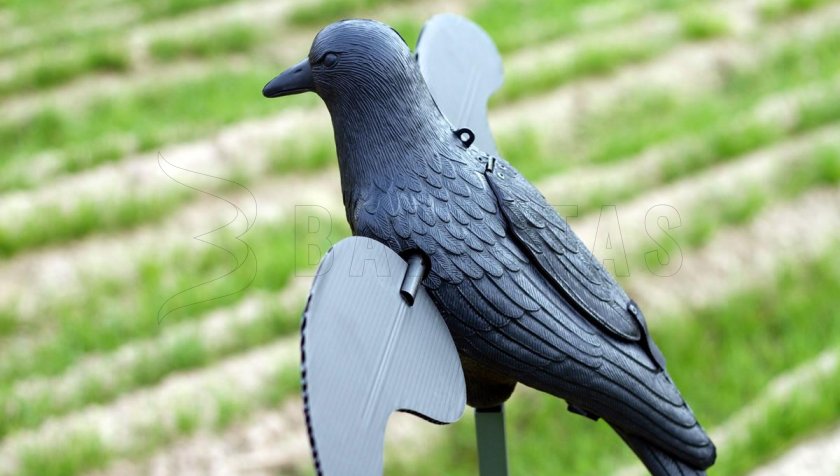Balabán MOJO Crow - Krähe