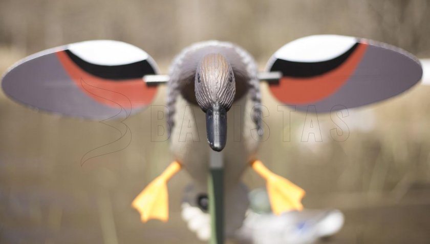 Balabán MOJO Gadwall - Ente Kopřivka