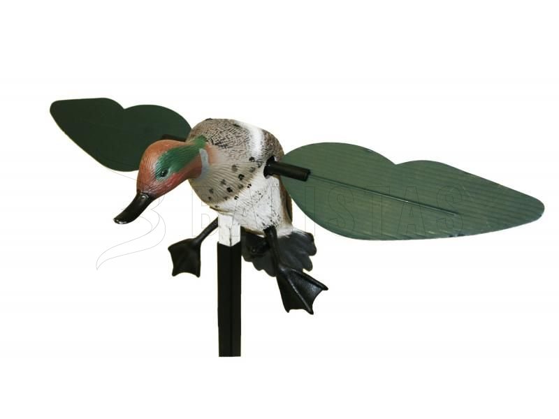 Balabán MOJO Teal - Stockente
