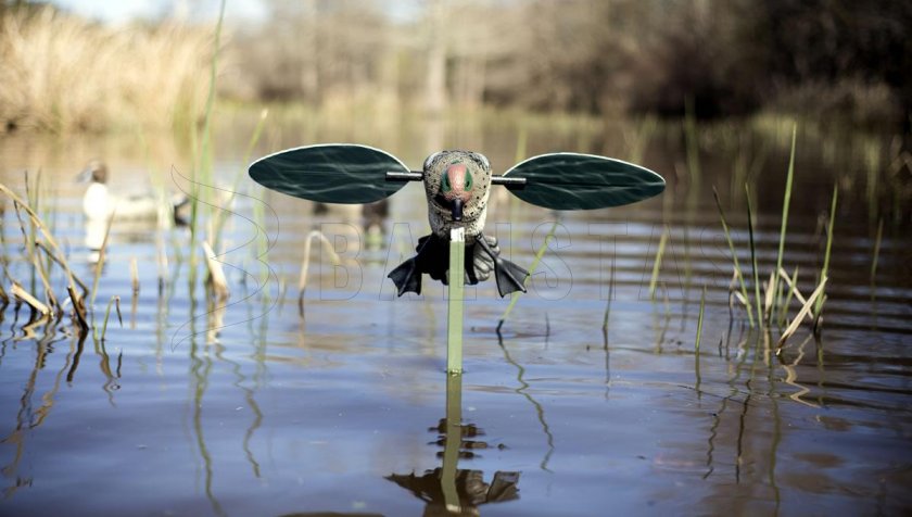 Balabán MOJO Teal - Stockente