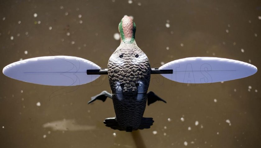 Balabán MOJO Teal - Stockente