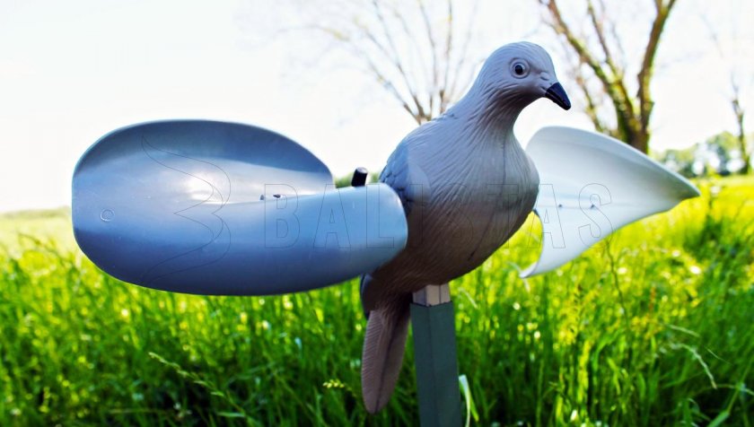 Balabán MOJO Wind Dove - Windtaube