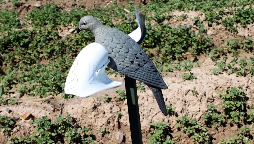 Balabán MOJO Wind Dove - Windtaube