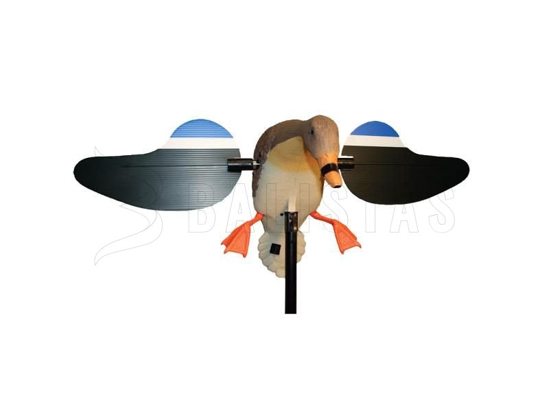 Balabán MOJO Mallard Hen - Wildente