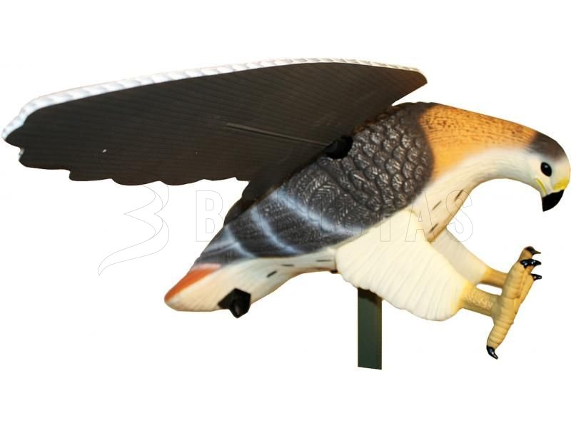 Balabán MOJO Hawk - Habicht