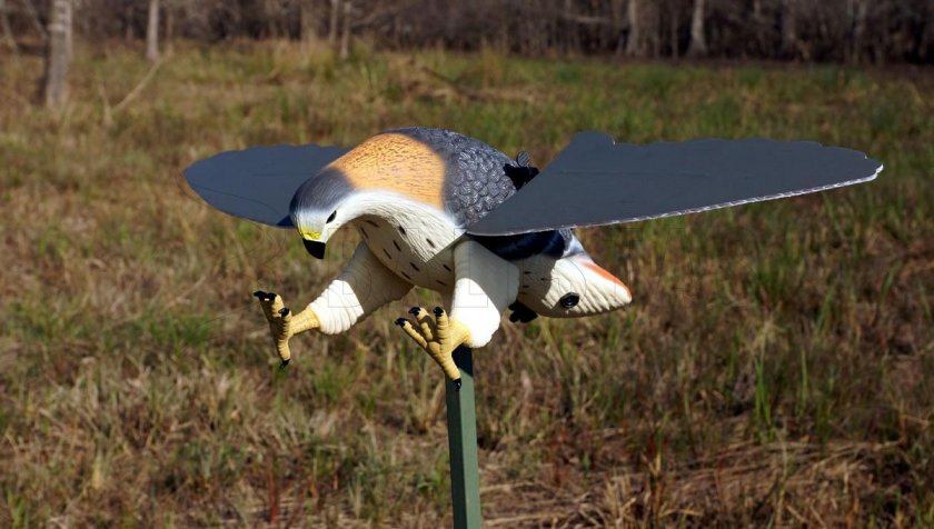 Balabán MOJO Hawk - Habicht