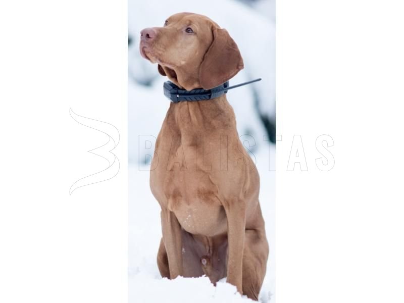 GPS-Tracker Dogtrace DOG GPS X20
