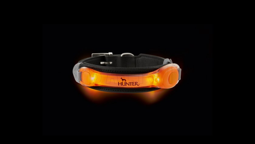 Leuchtender LED-Anhänger für Halsband Hunter orange