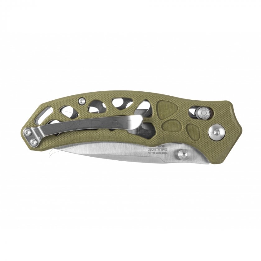 Klappmesser Ganzo Firebird FB763-GR grün