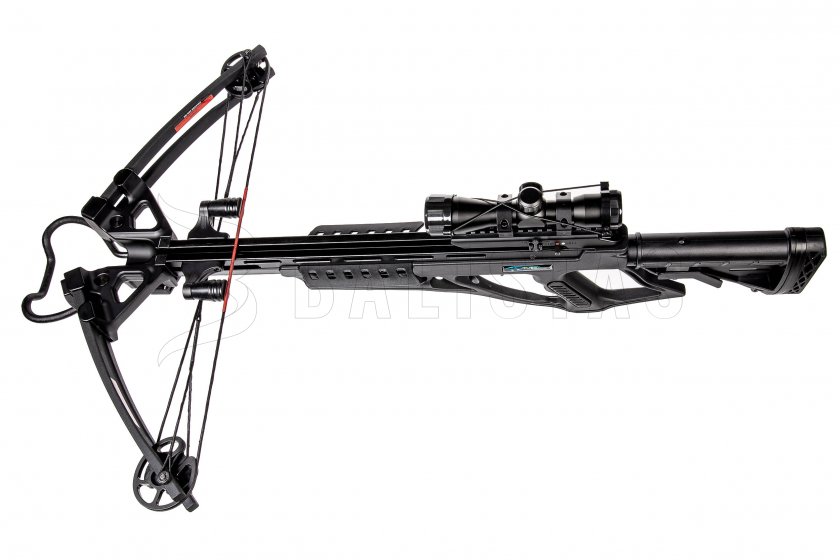 Armbrust Mankung Herkules XB-55 185lb schwarz Kit