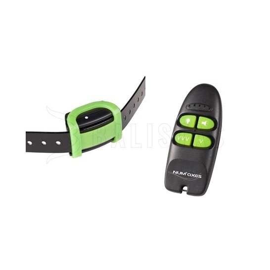 Trainingshalsband Eyenimal Training Soft