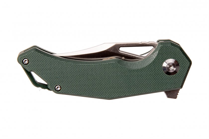 Klappmesser Ganzo Firebird FH61 grün