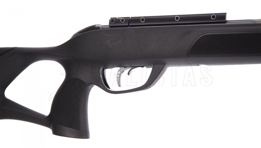 Luftgewehr Gamo Roadster IGT 10X GEN2 4,5mm - 24J