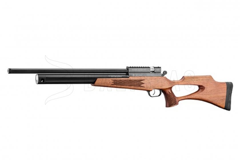 Evanix Hunting Master AR22 01.jpg